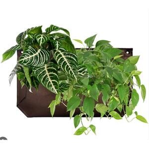 Wallygrow Pocket 1 Chocolate Vertical Wall Planter 24"x15"